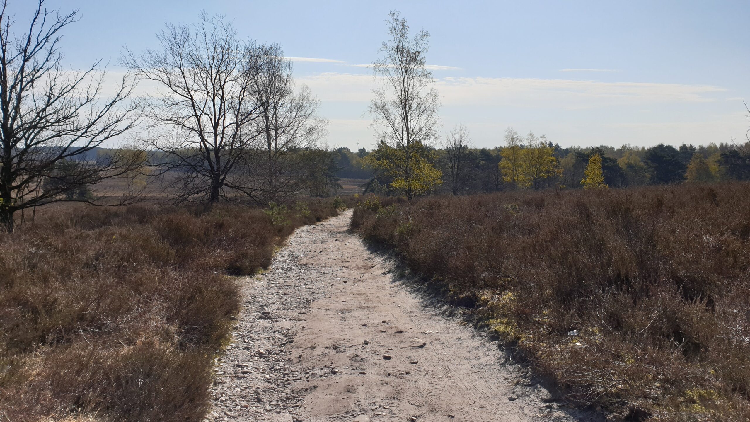 Wandelen - De Teut Zonhoven