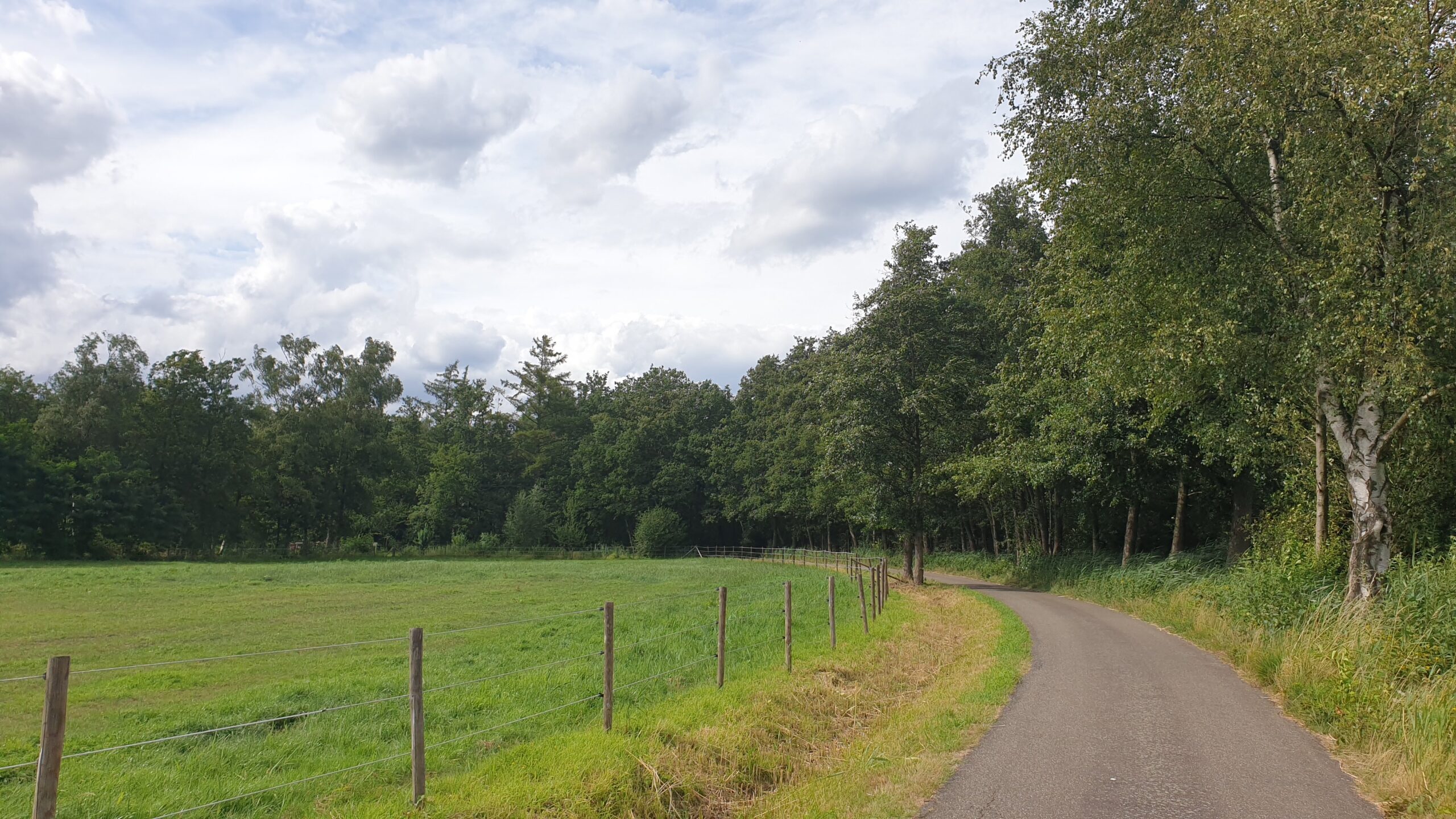 Fietsweg Brelaarheide