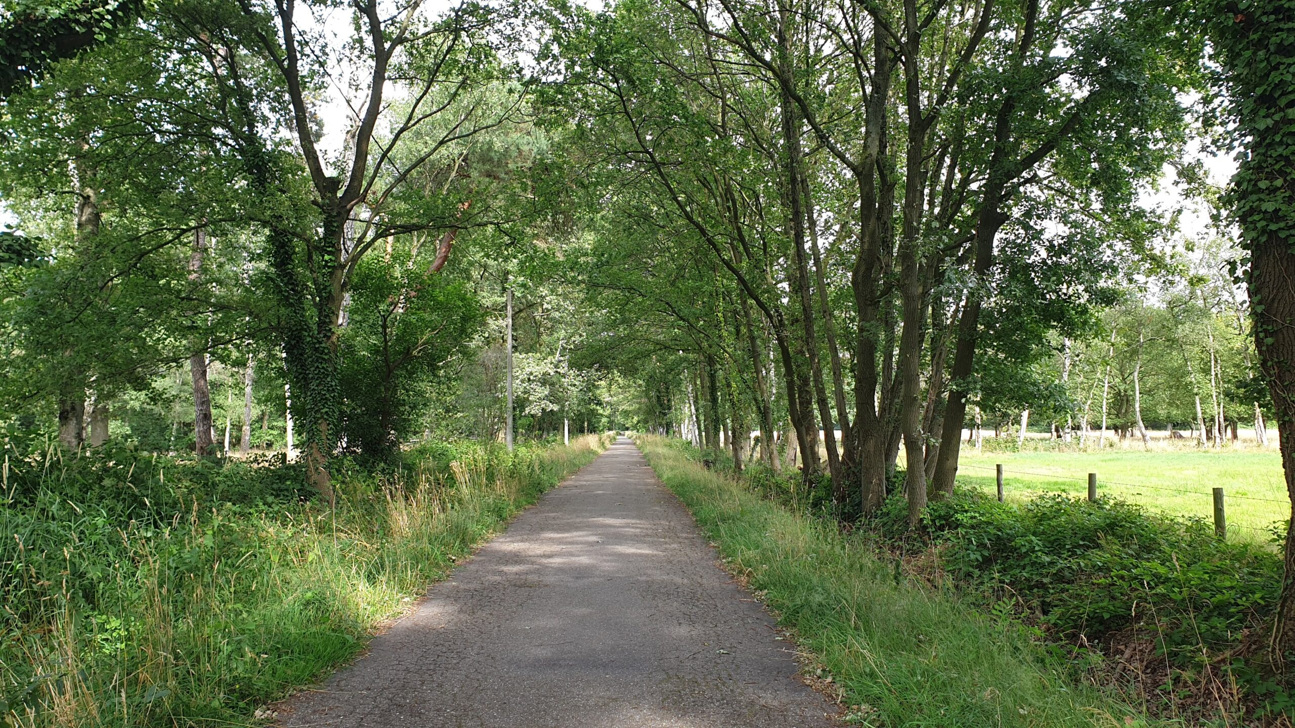 Fietsweg Brelaarheide