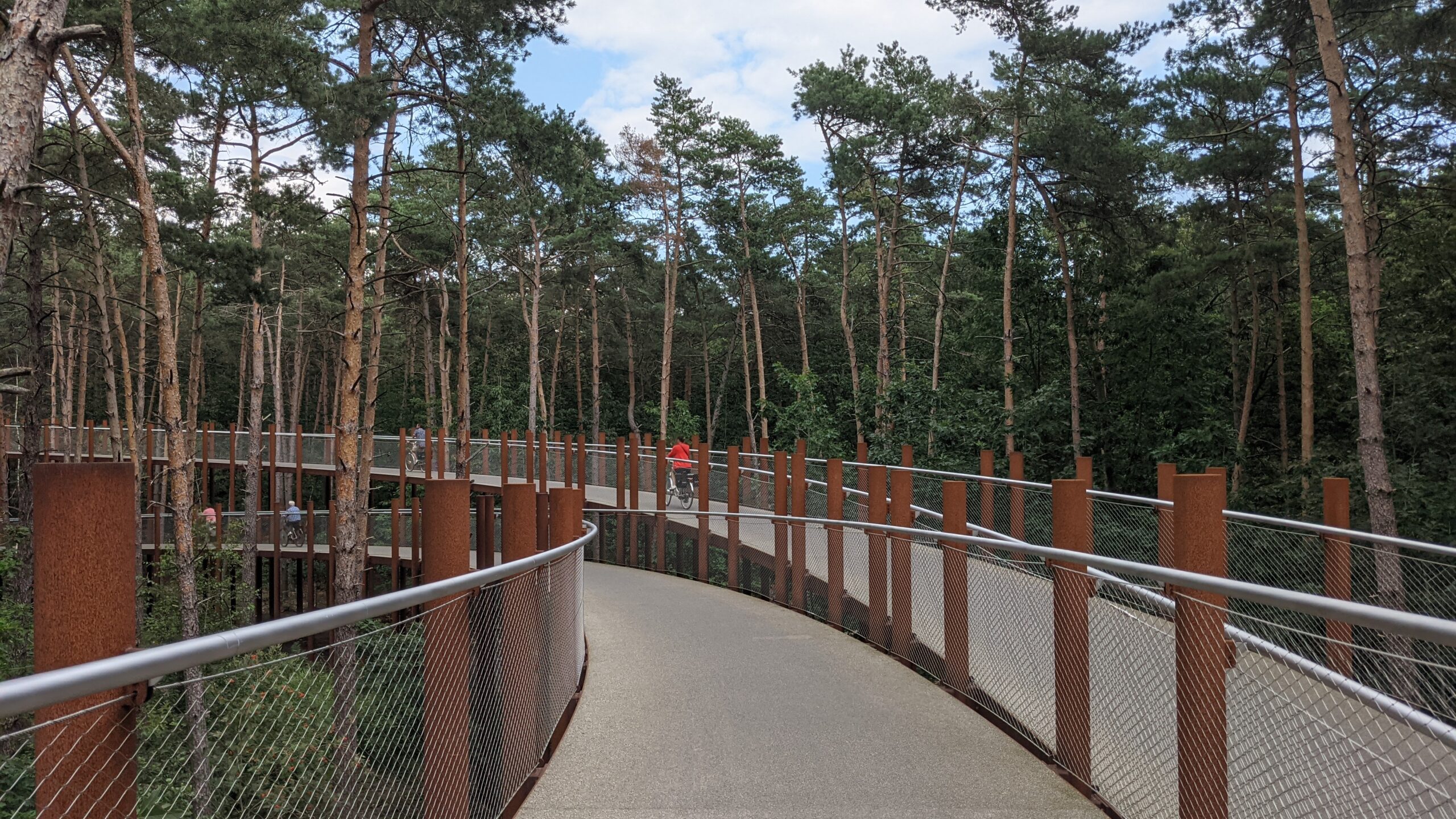 Fietsen door de bomen - Bosland Hechtel-Eksel